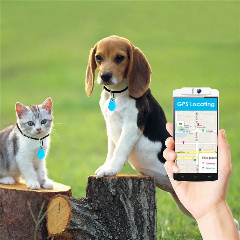 Rastreador GPS Para Animais Domésticos